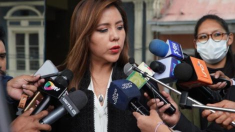 Contratos de litio: Viceministra Alcón considera que se pueden perder oportunidades