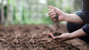 Conservación del Suelo: Urge proteger un recurso vital para la supervivencia humana