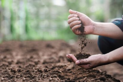 Conservación del Suelo: Urge proteger un recurso vital para la supervivencia humana