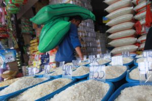 Importación de arroz ante la disminución de oferta