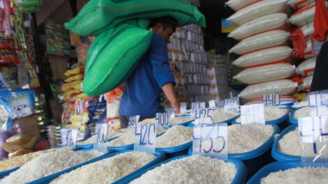 Importación de arroz ante la disminución de oferta