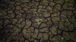 Impacto del clima en el PIB europeo