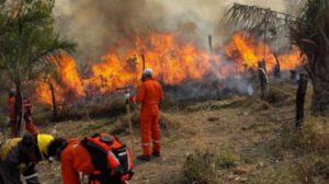 Incendios forestales en Bolivia provocados por humanos