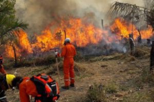 Incendios forestales en Bolivia provocados por humanos