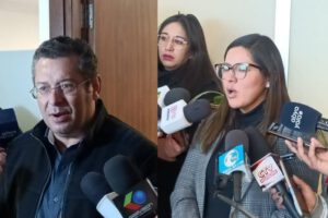 Diputados de oposición anuncian que no aprobarán contratos de litio