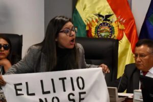 Vigilia contra contratos de litio en la Cámara de Diputados