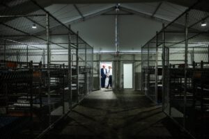 Condiciones inhumanas en centro de detención Alligator Alcatraz