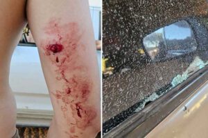 Avasallamiento en Santa Cruz