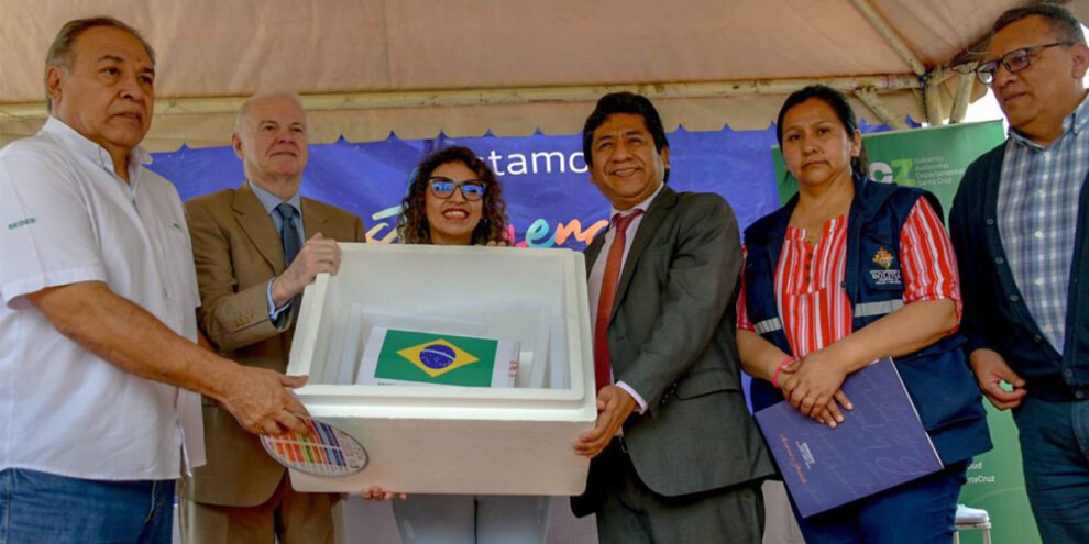 Vacunas contra el sarampión enviadas por Brasil a Bolivia