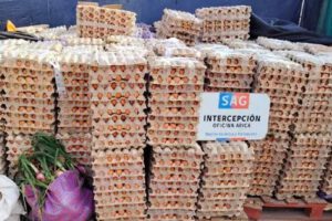 Contrabando de huevos desde Bolivia a Chile