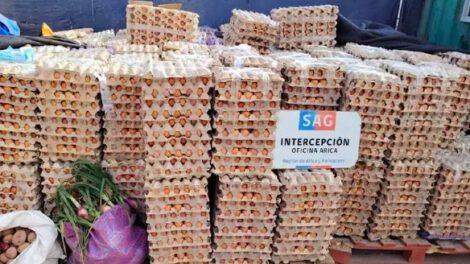 Contrabando de huevos desde Bolivia a Chile