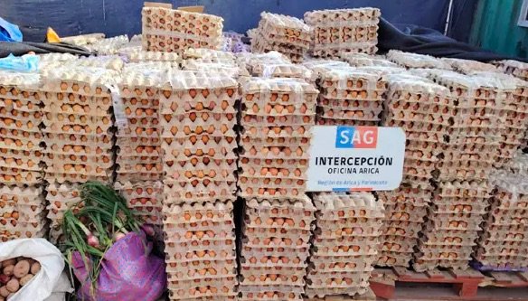 Contrabando de huevos desde Bolivia a Chile