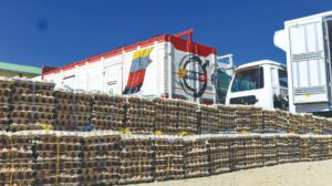 Pasos ilegales en fronteras detectados por el Gobierno boliviano
