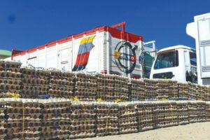 Pasos ilegales en fronteras detectados por el Gobierno boliviano