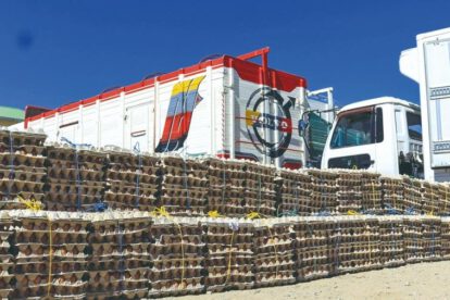 Pasos ilegales en fronteras detectados por el Gobierno boliviano