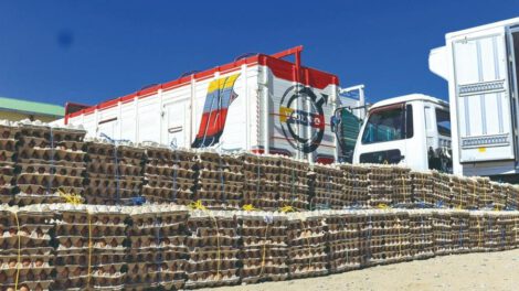 Pasos ilegales en fronteras detectados por el Gobierno boliviano