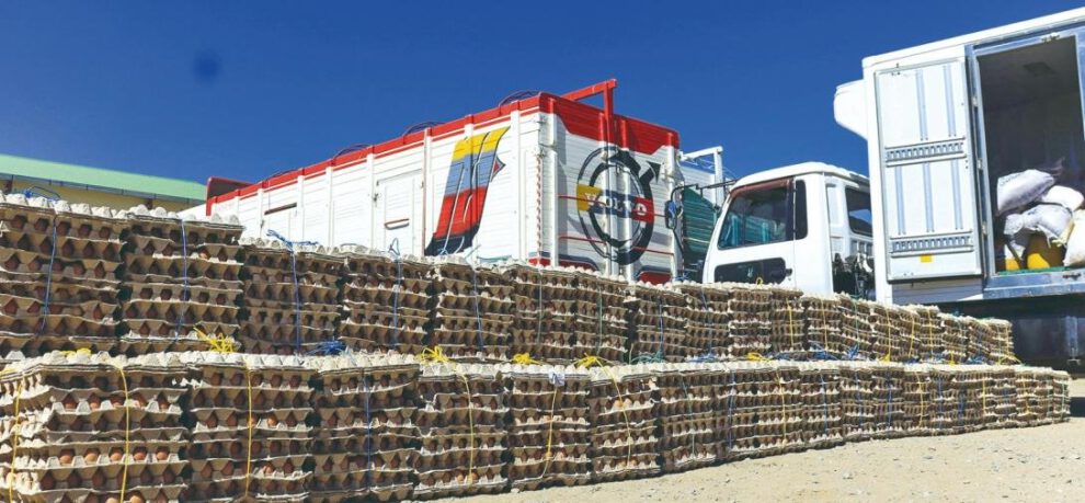 Pasos ilegales en fronteras detectados por el Gobierno boliviano