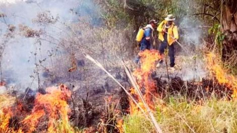 Santa Cruz incendios