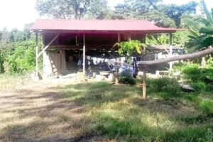 Investigación sobre asesinato de padre e hijo en Shinahota