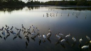 Pérdida de humedales representa una amenaza económica y social global