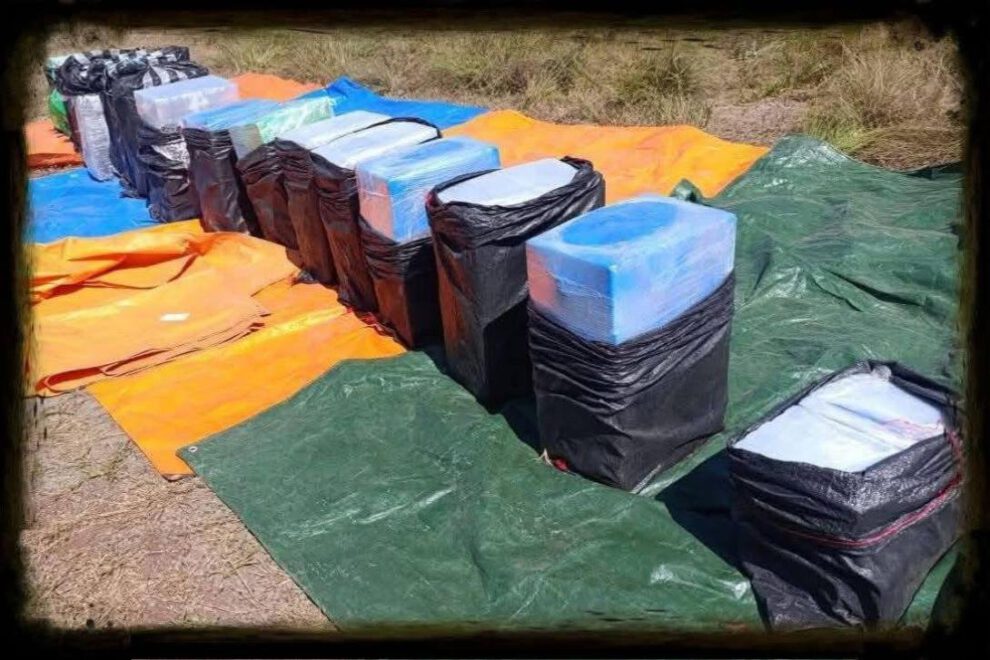 cocaína en Santa Ana del Yacuma