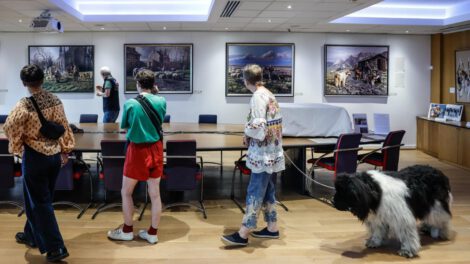 Museo del Perro en París, un espacio único para mascotas