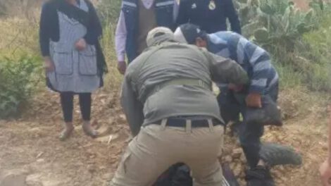 Atraco armado en Vacas