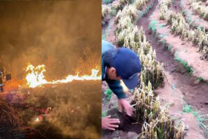 focos de calor y heladas en Bolivia