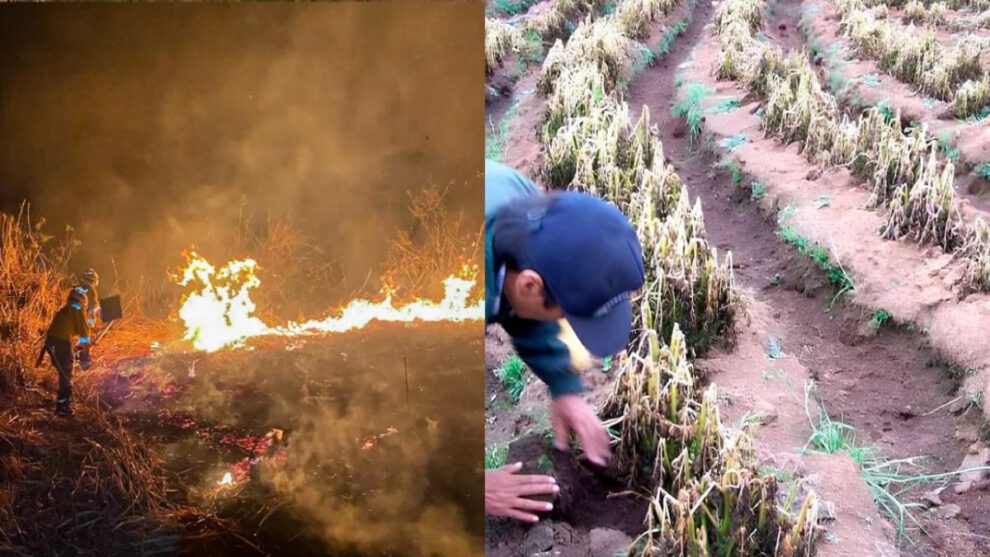 focos de calor y heladas en Bolivia
