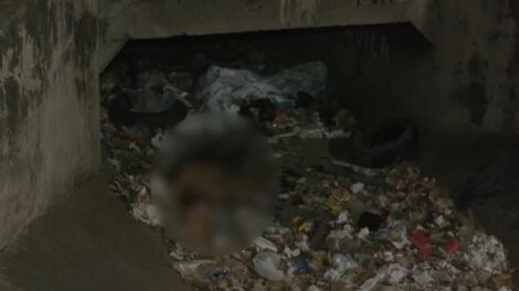 Cuerpo hallado en canal de drenaje en Santa Cruz