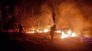 Incendios forestales en Santa Cruz