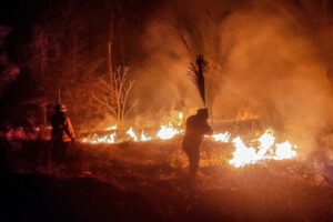 Incendios forestales en Santa Cruz