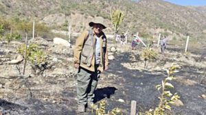 Incendios forestales en Sucre destruyen 27 hectáreas en 48 horas