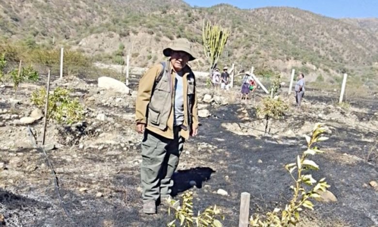 Incendios forestales en Sucre destruyen 27 hectáreas en 48 horas