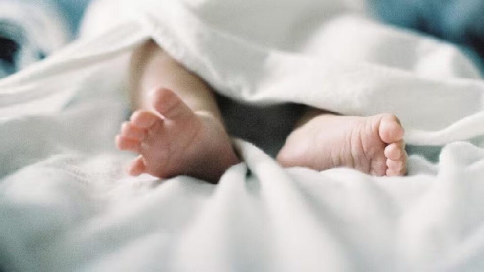 coqueluche en Santa Cruz