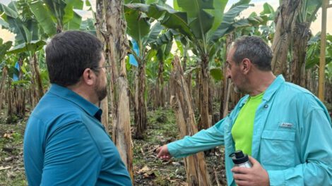 Samuel Doria Medina en Villa Tunari durante su campaña electoral