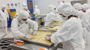 Privatización de empresas estatales en Bolivia según Luis Siles