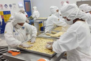 Privatización de empresas estatales en Bolivia según Luis Siles