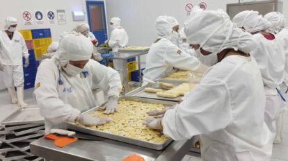 Privatización de empresas estatales en Bolivia según Luis Siles