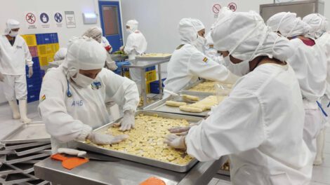 Privatización de empresas estatales en Bolivia según Luis Siles