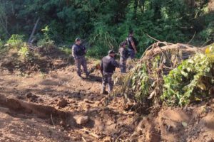 Avasallamientos en Bolivia