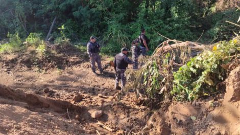 Avasallamientos en Bolivia