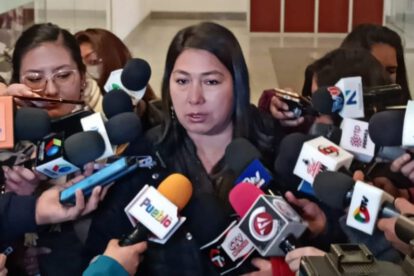 Diputada Rosario García critica la fragmentación del MAS