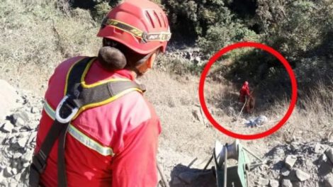 Vagoneta se embarranca en Sud Yungas dejando tres muertos