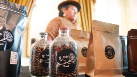 exportaciones de café boliviano