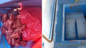 Vacunas contra el sarampión manipuladas en Santa Cruz