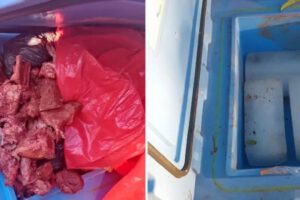 Vacunas contra el sarampión manipuladas en Santa Cruz