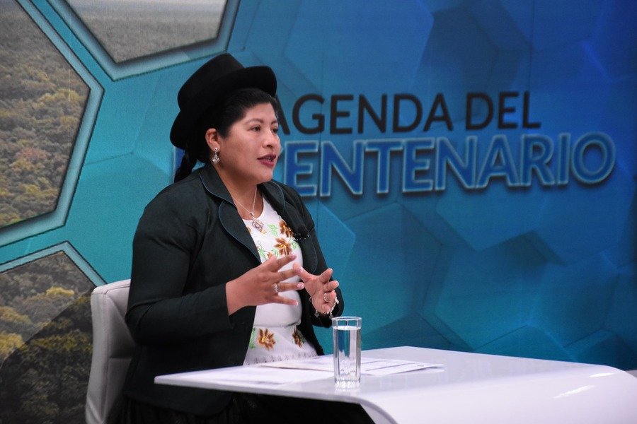 Unidad nacional por el Bicentenario en Bolivia