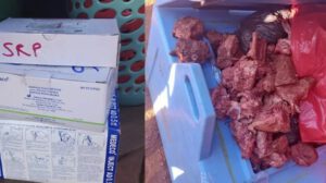 Aprehendidos por transportar carne usando conservadoras de vacunas