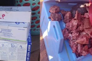 Aprehendidos por transportar carne usando conservadoras de vacunas